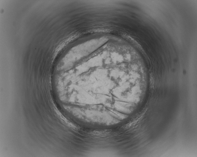 X0000062130725200601060857