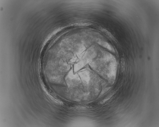 X0000062130726200601060857