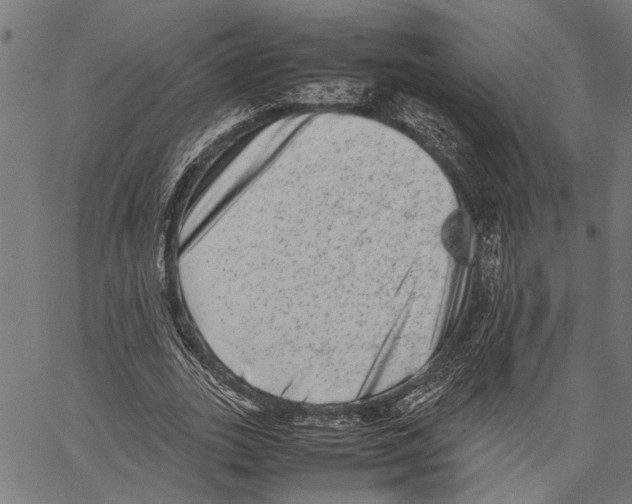 X0000062130727200601060857