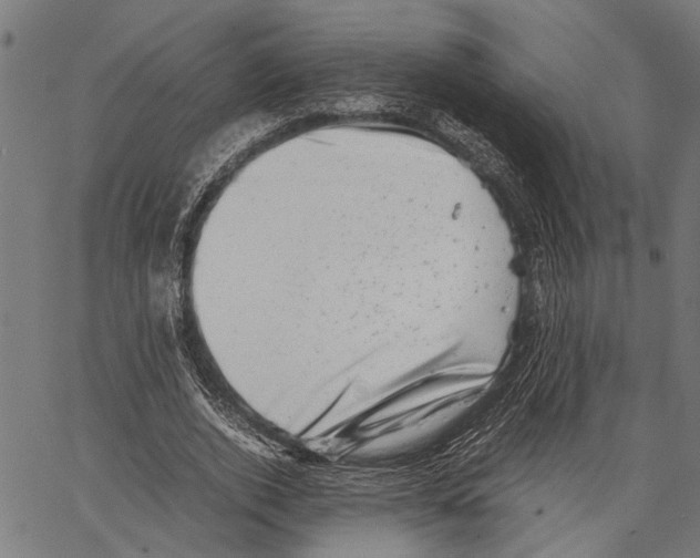 X0000062130728200601060857