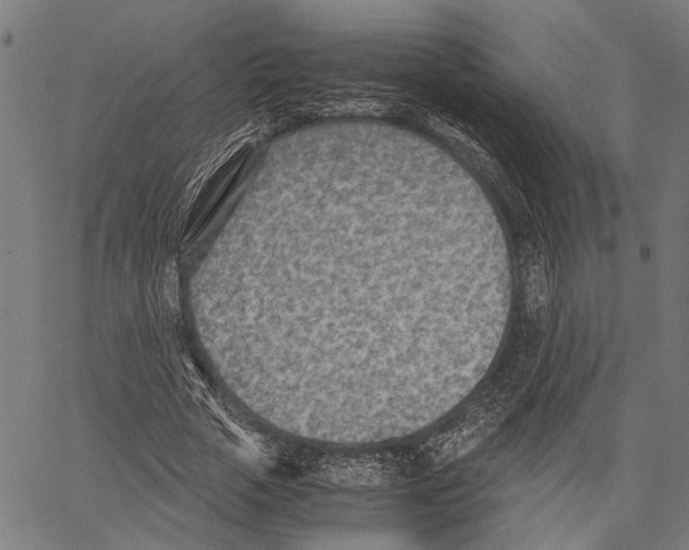 X0000062130729200601060857