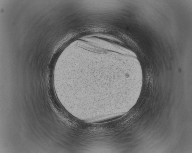 X0000062130730200601060857