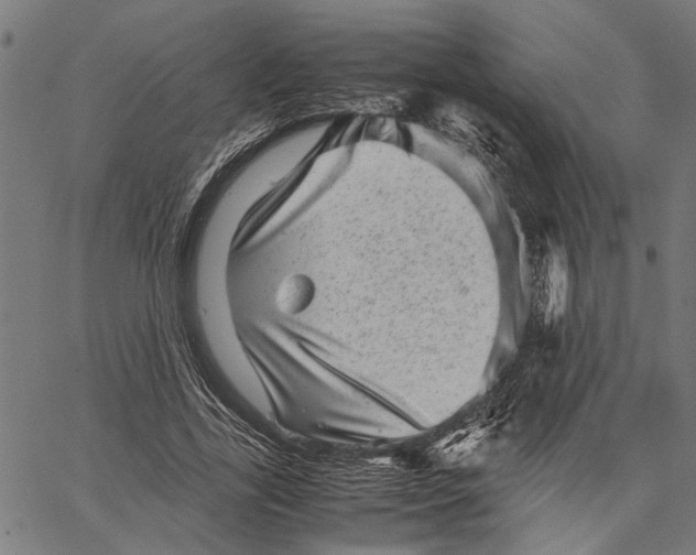 X0000062130731200601060857