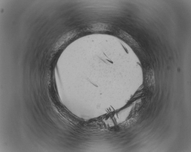 X0000062130732200601060857