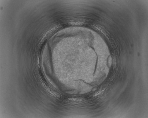 X0000062130733200601060857