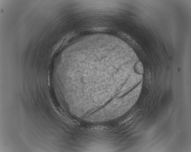 X0000062130734200601060857