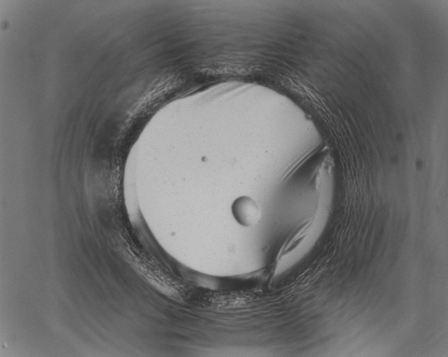 X0000062130735200601060857