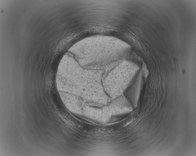 X0000062130736200601060857