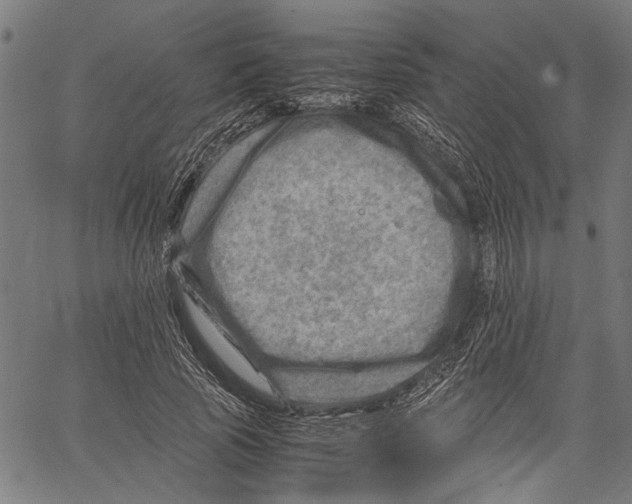 X0000062130737200601060857