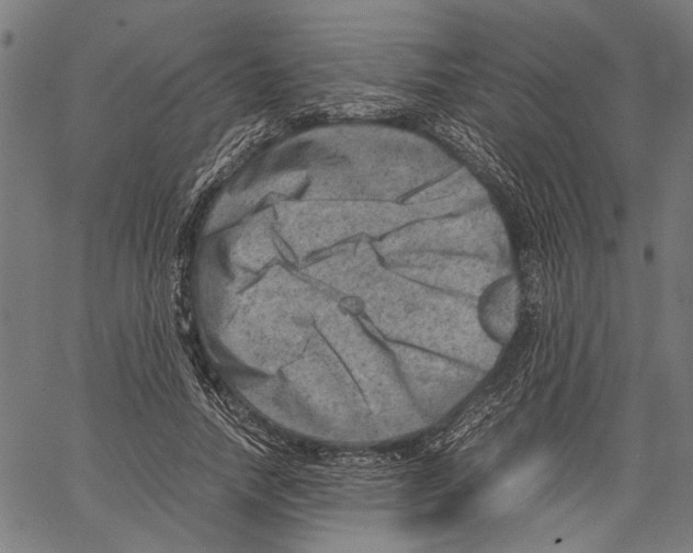 X0000062130738200601060857