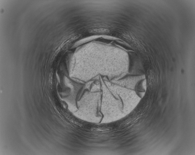 X0000062130739200601060857