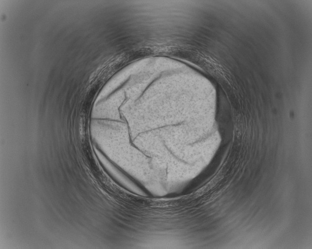 X0000062130740200601060857