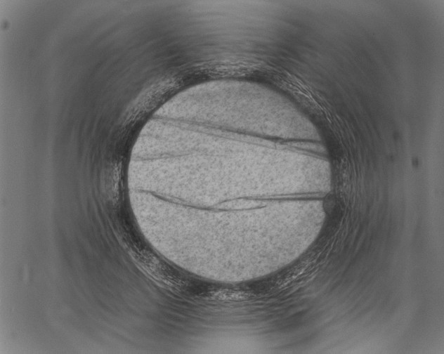 X0000062130742200601060857