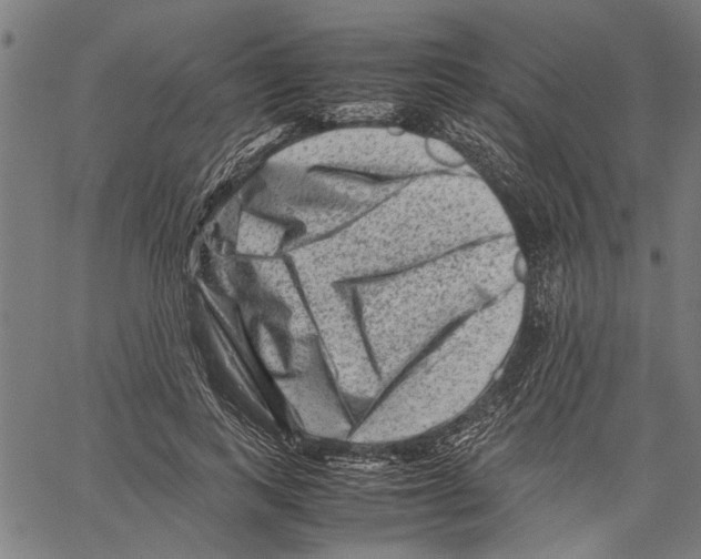 X0000062130743200601060857