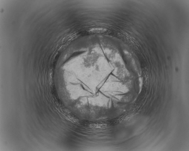 X0000062130745200601060857