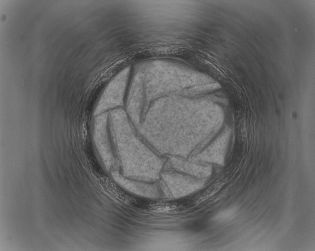 X0000062130746200601060857