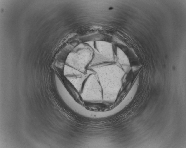 X0000062130750200601060857