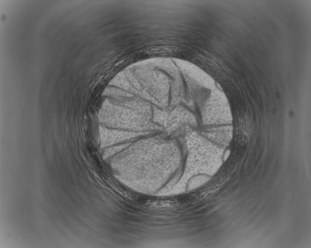 X0000062130751200601060857