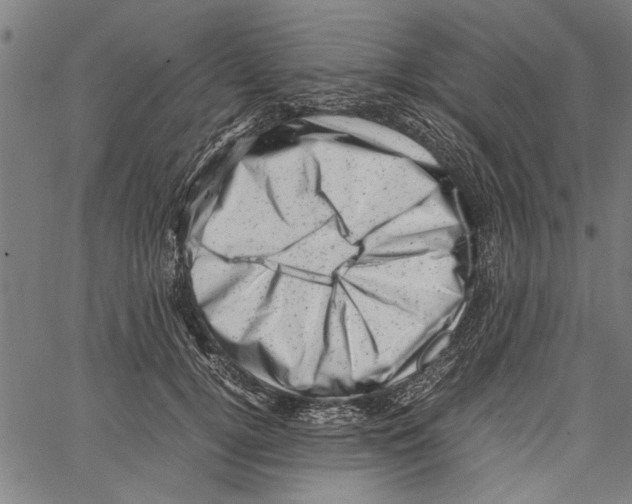 X0000062130752200601060857