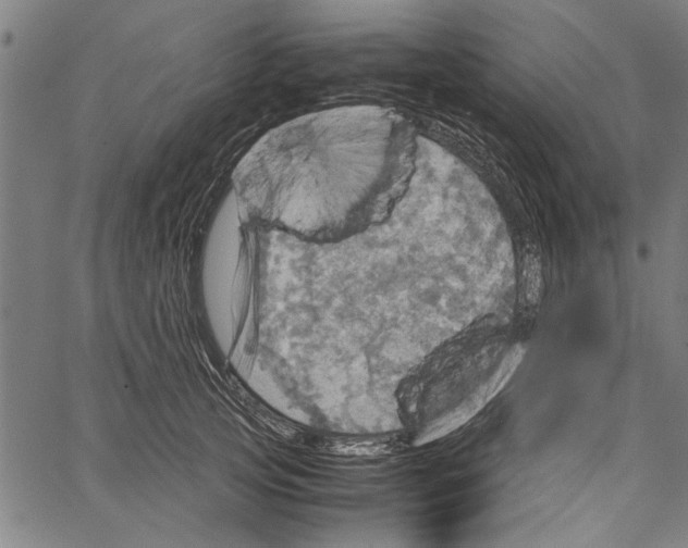 X0000062130753200601060857