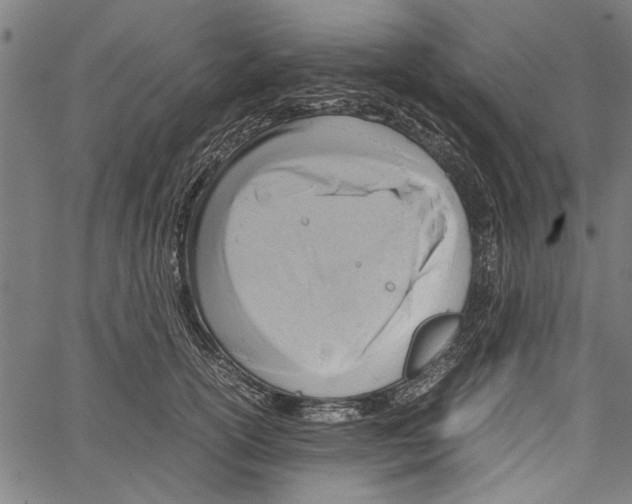 X0000062130754200601060857