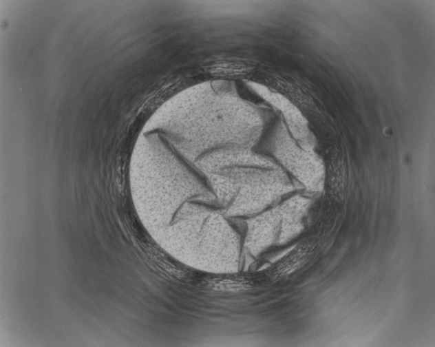 X0000062130755200601060857