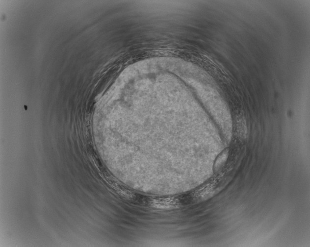 X0000062130757200601060857