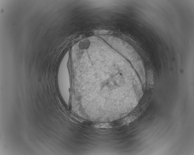 X0000062130761200601060857