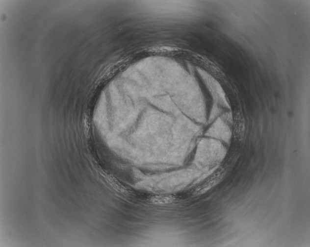 X0000062130762200601060857