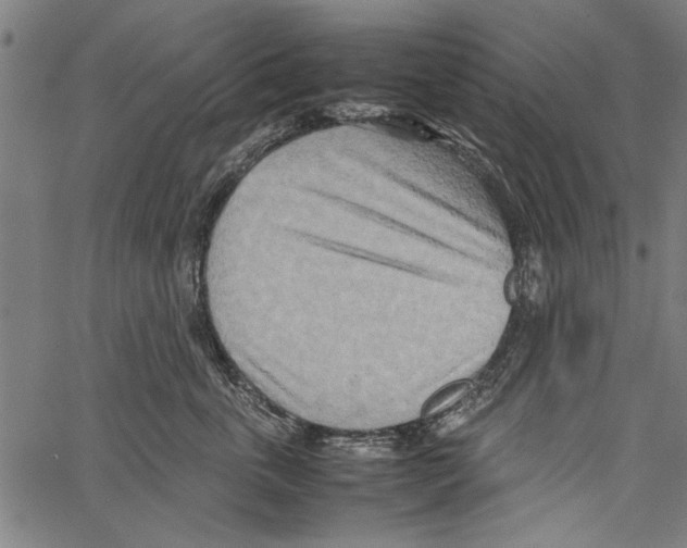 X0000062130763200601060857