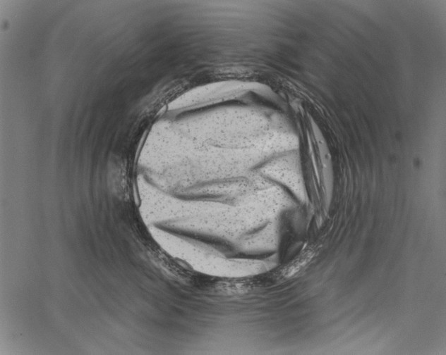 X0000062130764200601060857