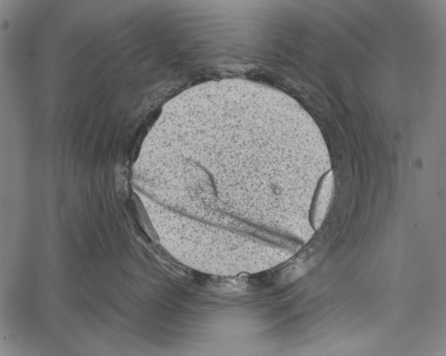 X0000062130768200601060857