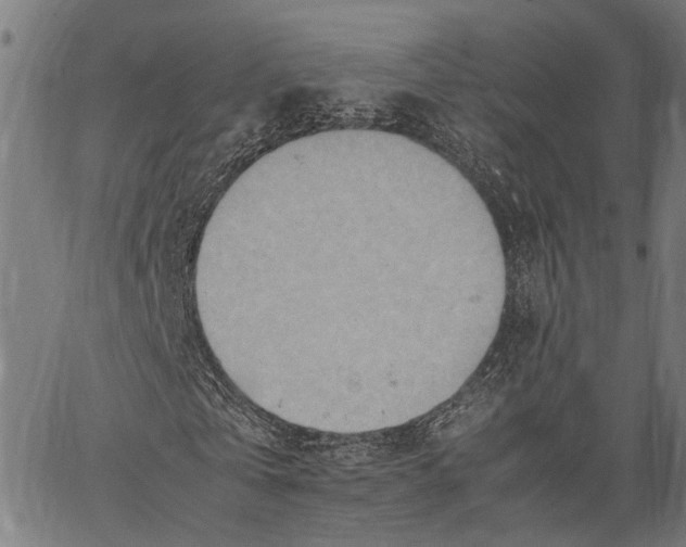 X0000062130769200601060856