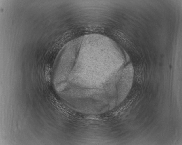 X0000062130770200601060856