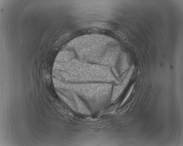 X0000062130771200601060856