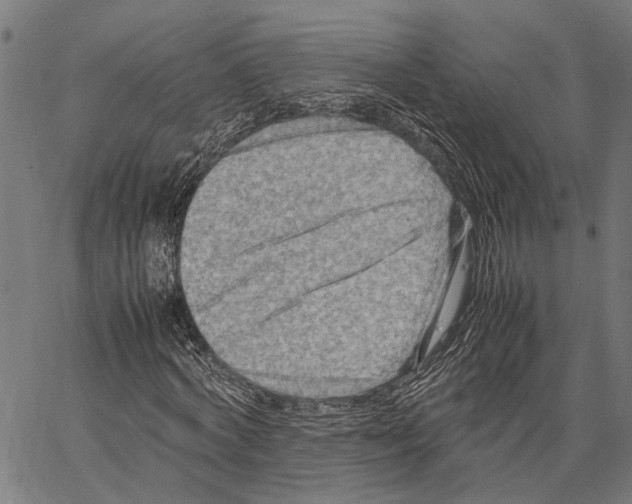 X0000062130772200601060856