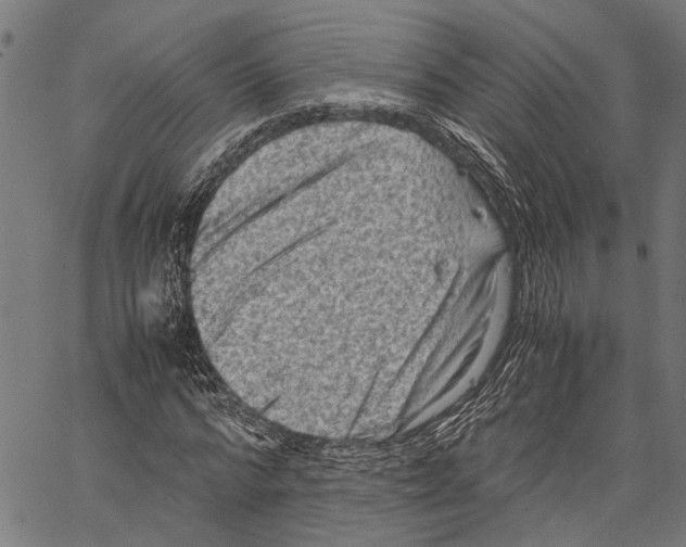 X0000062130776200601060856