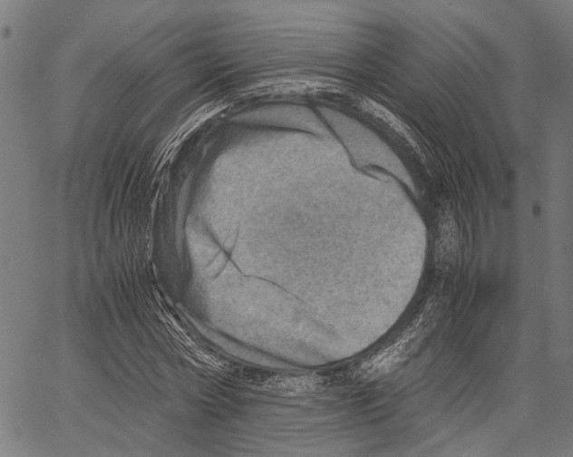 X0000062130778200601060856