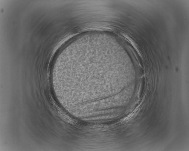 X0000062130779200601060856