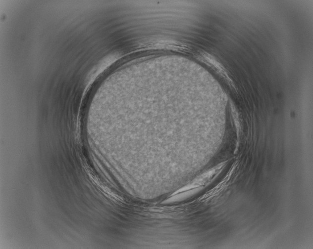 X0000062130780200601060856