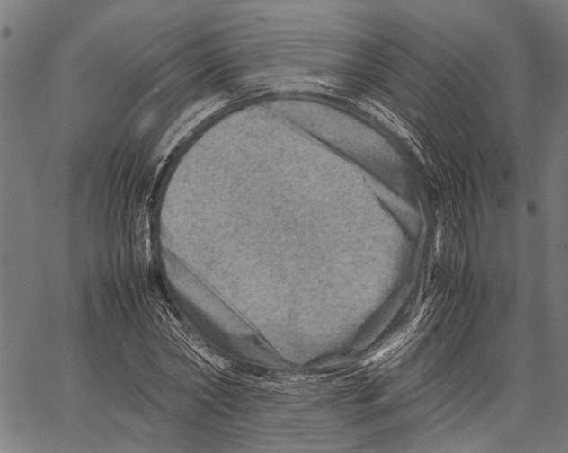 X0000062130782200601060856