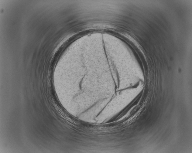 X0000062130783200601060856