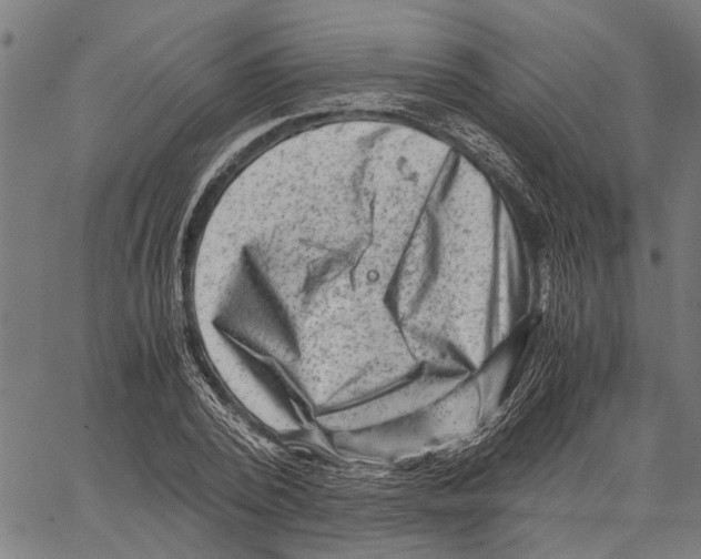 X0000062130784200601060856