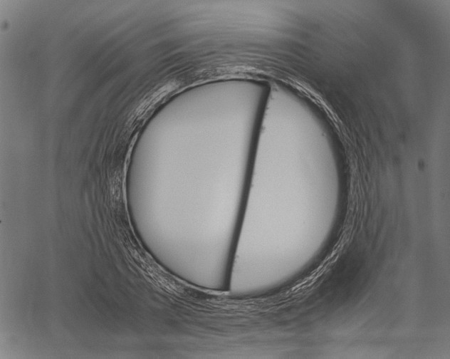 X0000062130785200601060856