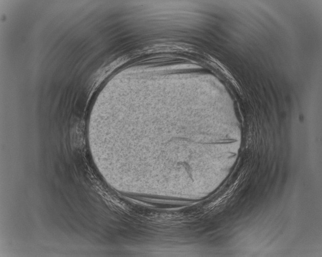 X0000062130786200601060856