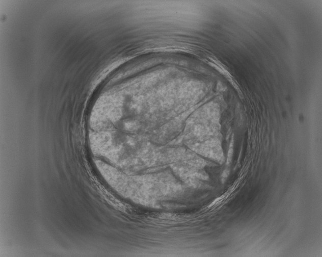 X0000062130787200601060856