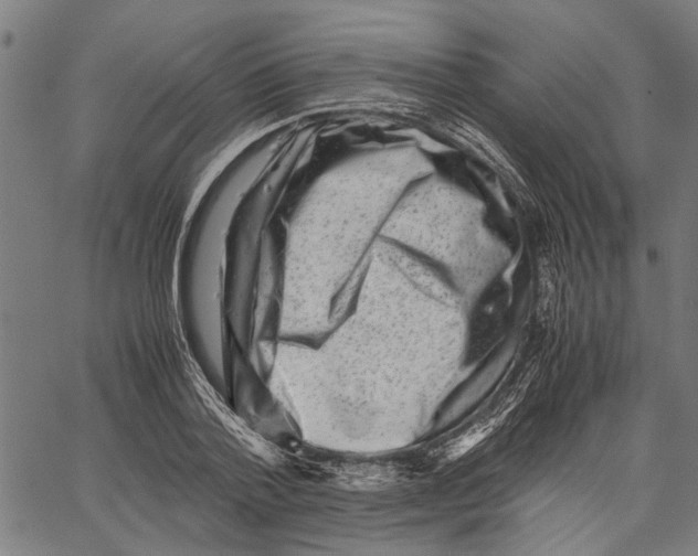 X0000062130788200601060856