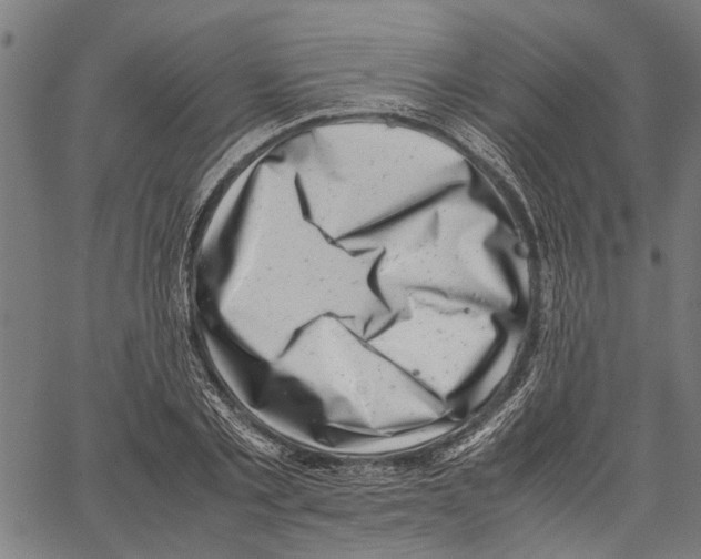 X0000062130789200601060856