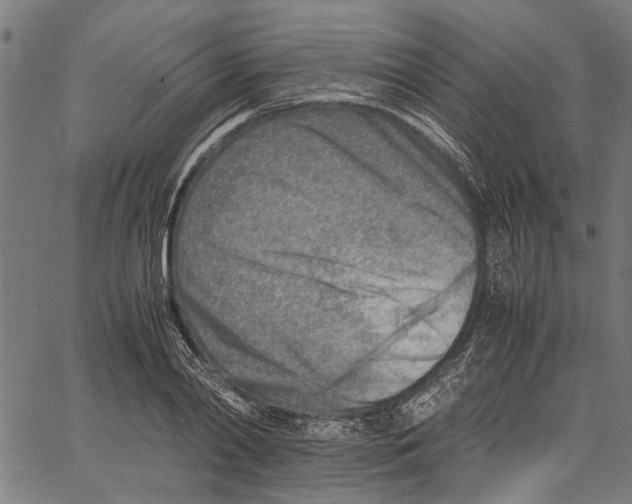 X0000062130790200601060856