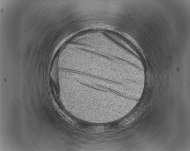 X0000062130791200601060856